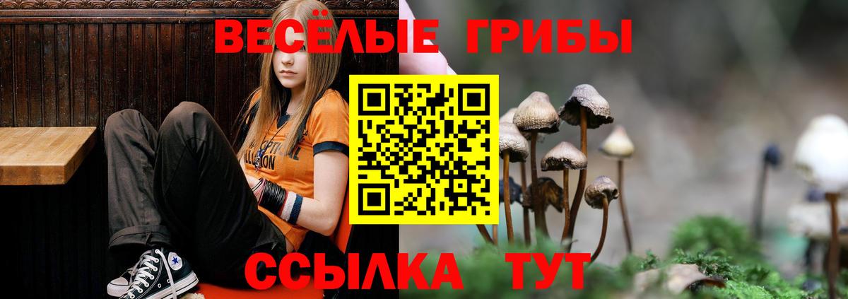Псилоцибиновые грибы Psilocybe  Вход с VPN  Галлюциногенные грибы Magic Shrooms  Новошахтинск 